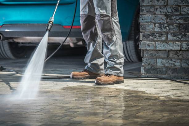 Best Paint Preparation  in Bellevue, IL