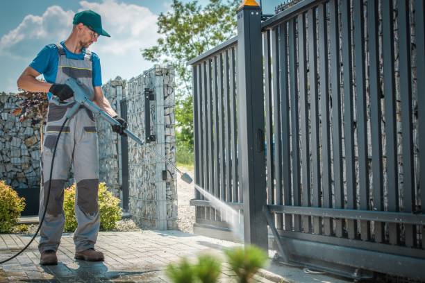 Best Spring Cleaning  in Bellevue, IL