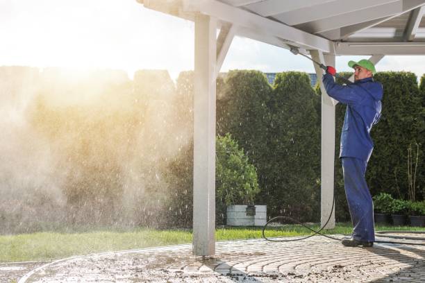 Best Graffiti Removal  in Bellevue, IL