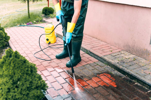 Best Solar Panel Cleaning  in Bellevue, IL