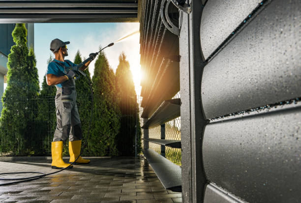 Best Fleet Vehicle Washing  in Bellevue, IL