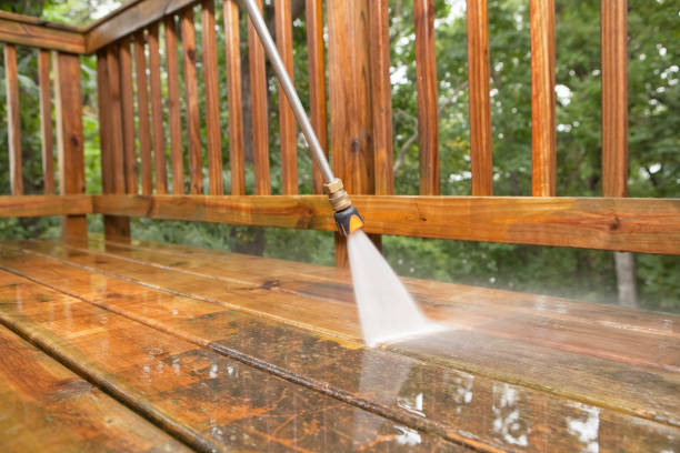 Trusted Bellevue, IL Pressure Washing Services Experts